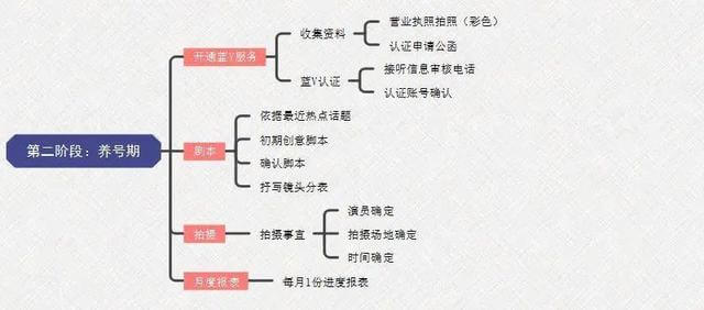 步玩转抖音蓝v号"